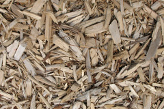 biomass boilers Beinn Casgro
